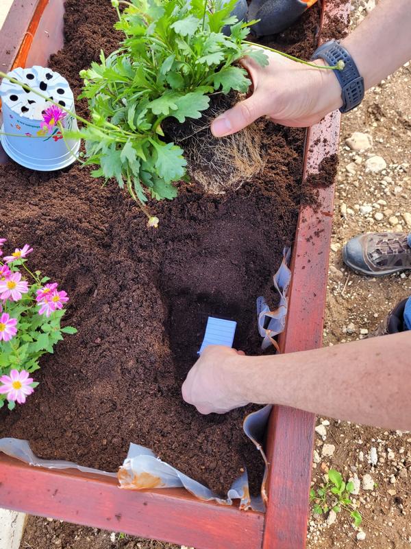 Hands planting flowers in a completed wooden planter
